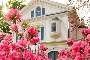 水花之外的华彩：跳水项目选手技艺高超，观赏性十足